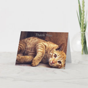 Kitten Thank You Card, Cat Thank You Card