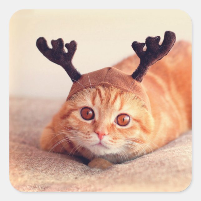 kitten wearing a Christmas reindeer hat Square Sticker (Front)