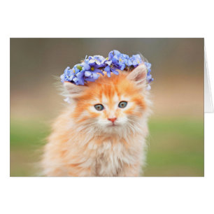 Kitten Wearing a Purple Garland