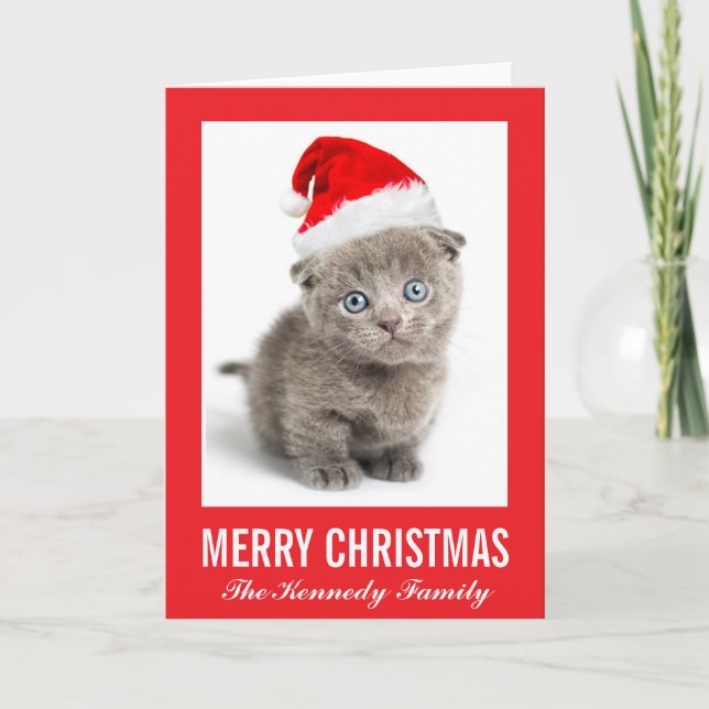 Kitten wearing a Santa hat Holiday Card (Front)