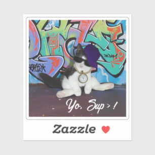 Kitten With Cat Attitude 