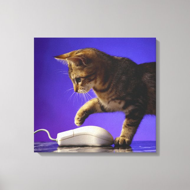 Kitten with computer mouse canvas print (Front)