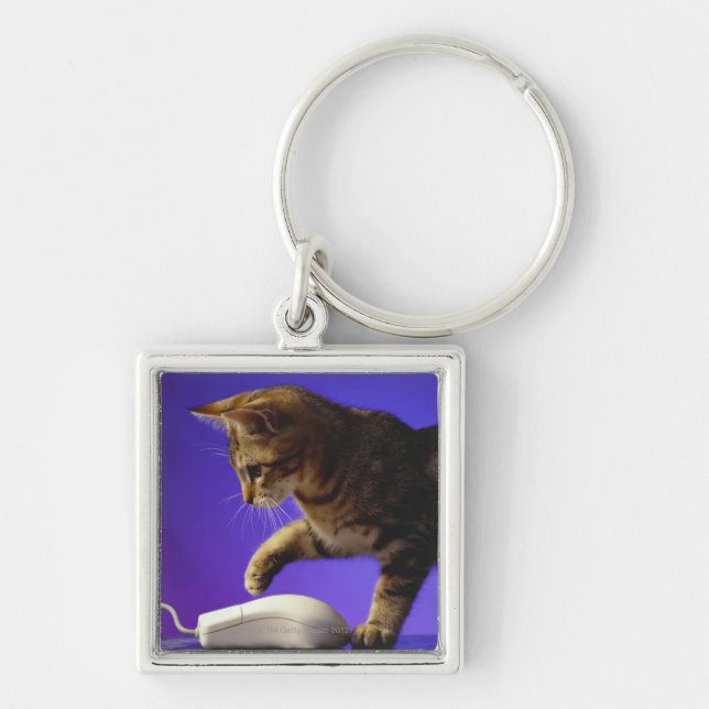 Kitten with computer mouse key ring (Front)