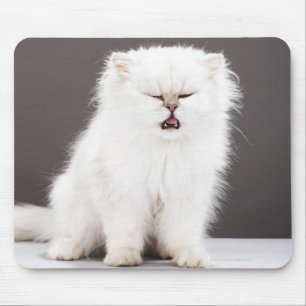 Kitten with Eyes Closed Mouse Pad