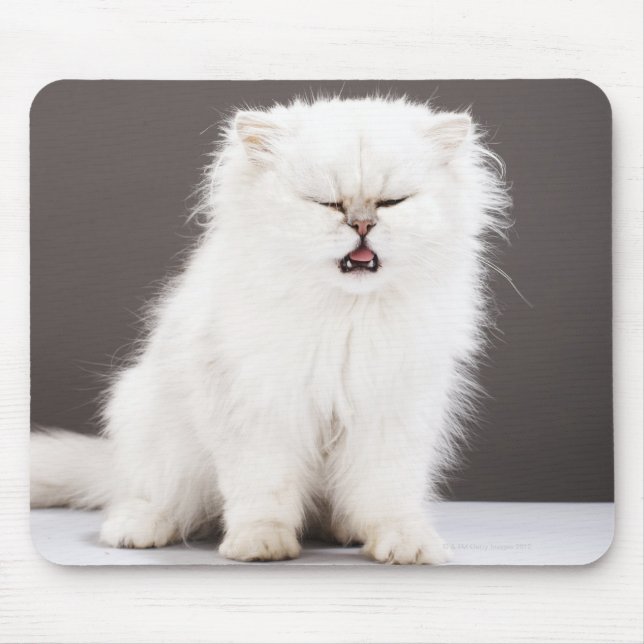 Kitten with Eyes Closed Mouse Pad (Front)