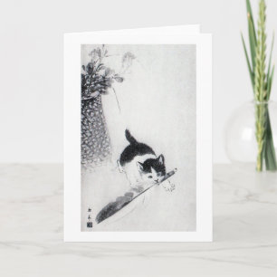 Kitten with Feather, Imao Keinen Card