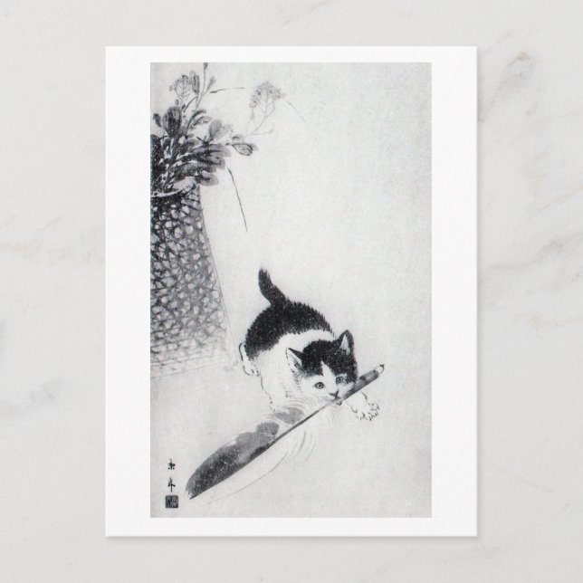 Kitten with Feather, Imao Keinen Postcard (Front)