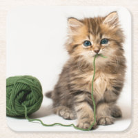 Kitten With Green Yarn