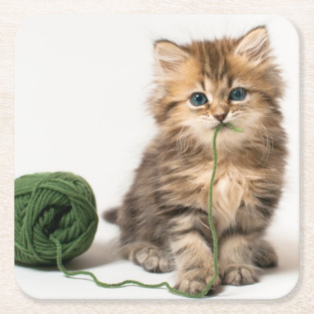 Kitten With Green Yarn Square Paper Coaster (Front)