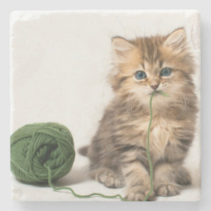 Kitten With Green Yarn Stone Coaster