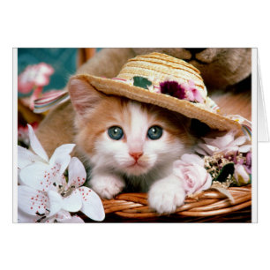 Kitten with straw hat.