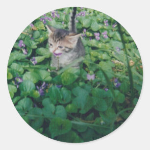 KITTEN WITH VIOLET SMILE CLASSIC ROUND STICKER