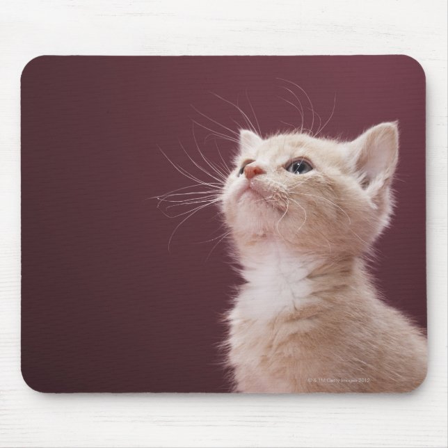 Kitten with Whiskers Mouse Pad (Front)