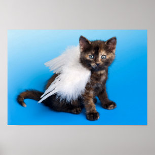 Kitten With Wings Poster