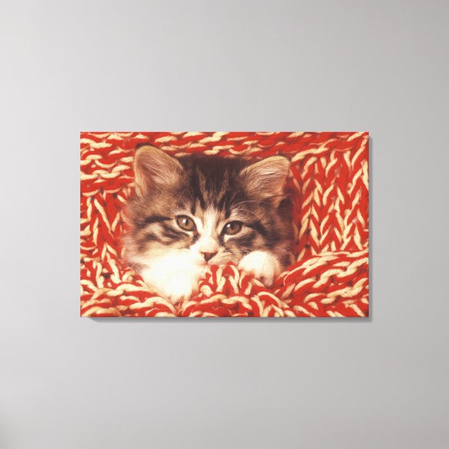 Kitten wrapped in woollen blanket, close-up canvas print (Front)