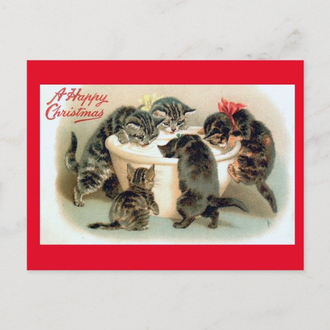 Kittens, A Happy Christmas, Postcard (Front)