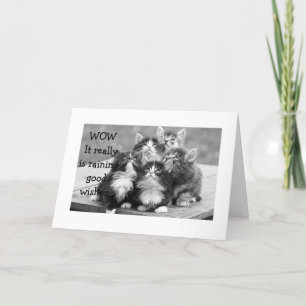 KITTENS ALL AGREE U SHOULD HAVE HAPPY BIRTHDAY CARD