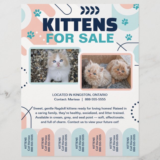 Kittens and Cats For Sale Tear Offs Flyer Template (Front)