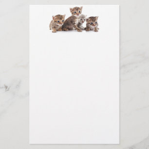 Kittens and more Kittens Stationery