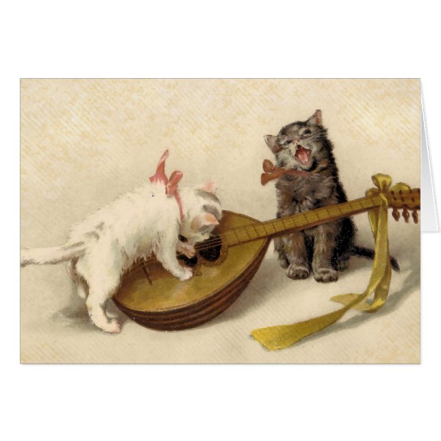 Kittens and the Mandolin (Front Horizontal)