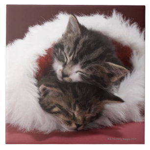 Kittens asleep together in Christmas hat Tile