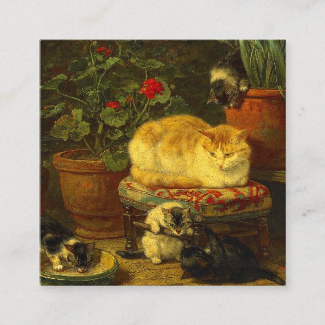 Kittens at Play Enclosure Card (Front)