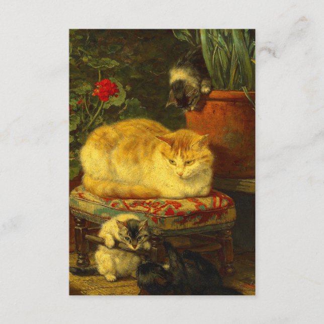 Kittens at Play Enclosure Card (Front)