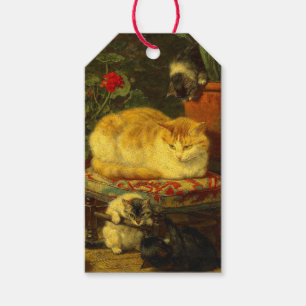 Kittens at Play Gift Tags