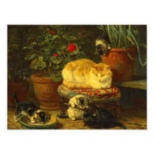 Kittens at Play Photo Print