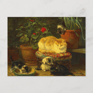Kittens at Play Postcard