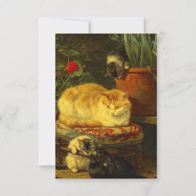 Kittens at Play RSVP Card (Front)