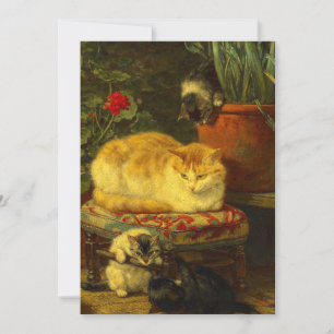 Kittens at Play Save The Date