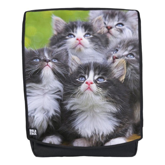 Kittens Backpack (Front)