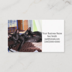 Kittens Business Card