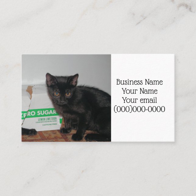 Kittens Business Card (Front)