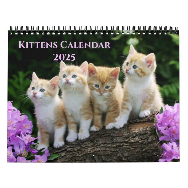 Kittens Calendar (Cover)