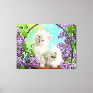 Kittens Canvas Print