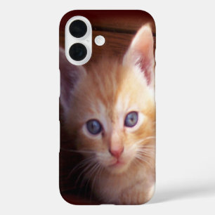 Kittens iPhone 16 Case