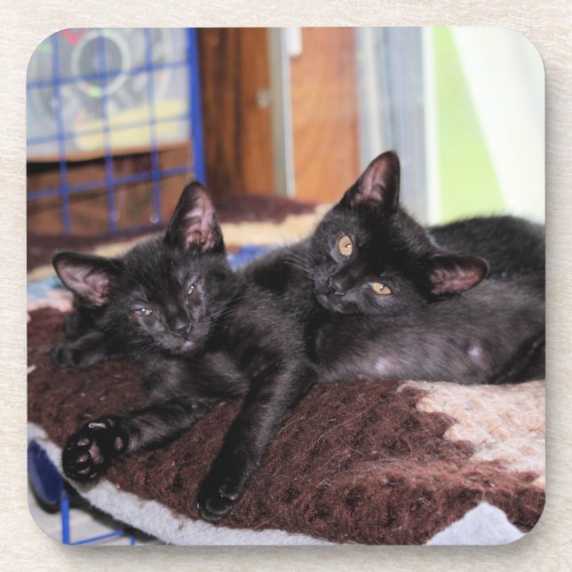 Kittens  coaster (Front)