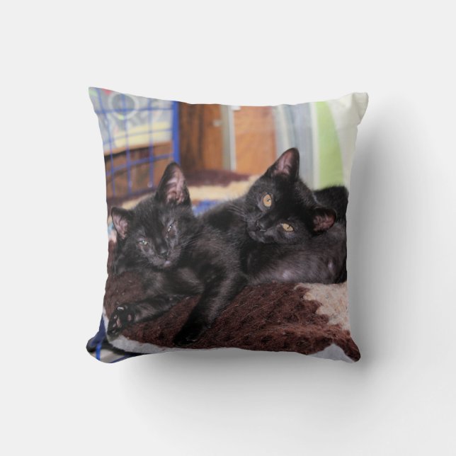 Kittens Cushion (Front)