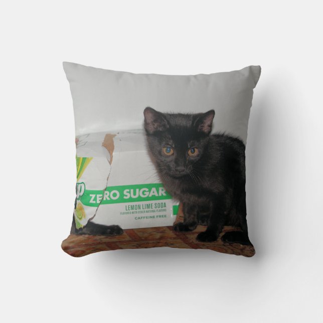 Kittens Cushion (Front)