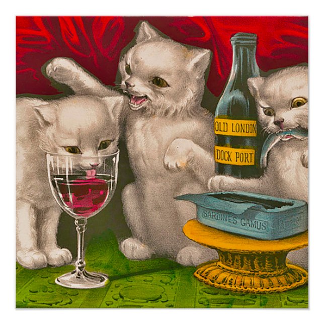 Kittens drinking and eating sardine fish poster (Front)