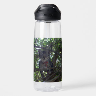 Kittens First Tree Tops Adventure, Water Bottle