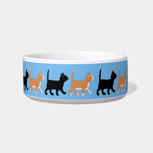 kittens go bowl