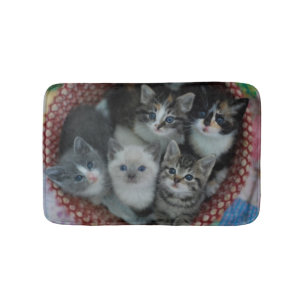 Kittens In A Basket Bath Mat