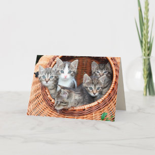 kittens in a basket greeting card