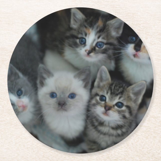 Kittens In A Basket Round Paper Coaster (Front)
