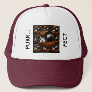 Kittens in a Bowl with Pattern Trucker Hat