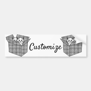 Kittens in a Box Thunder_Cove Bumper Sticker