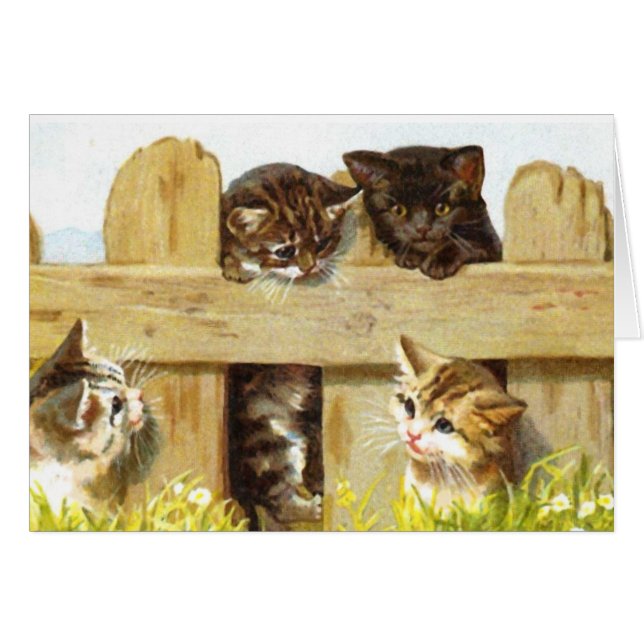 Kittens in a Fence (Front Horizontal)
